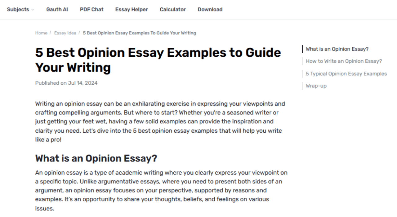 What Techniques Can Help You Present a Balanced Argument in an Opinion Essay?
